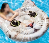 تشک بادی روی آب طرح گربه اینتکس